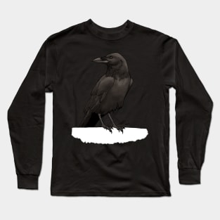 The Raven Long Sleeve T-Shirt